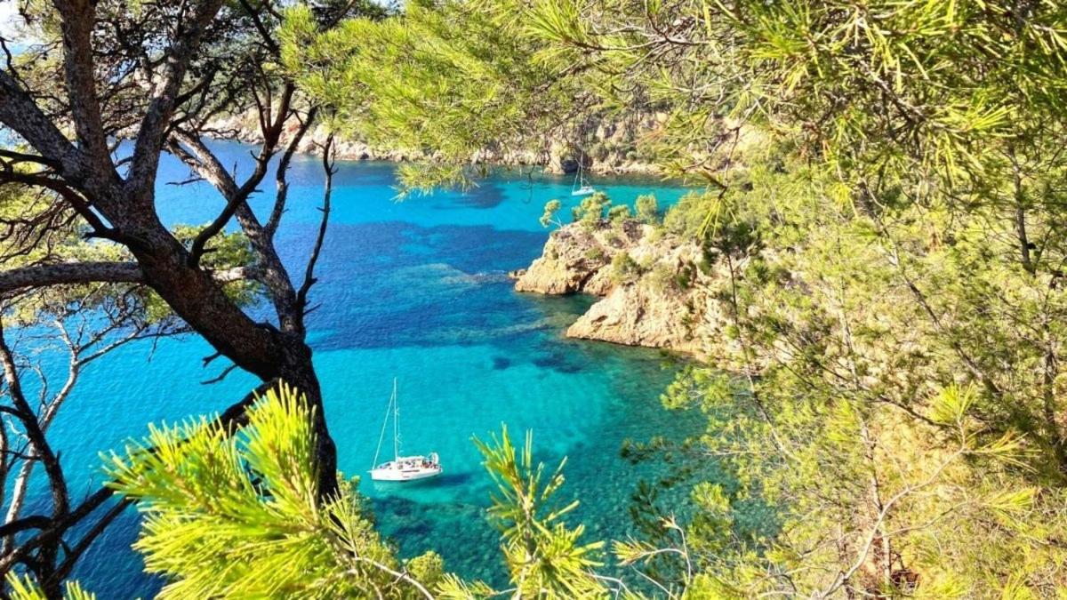 Superbe Appartement En Bord De Mer Bandol Buitenkant foto